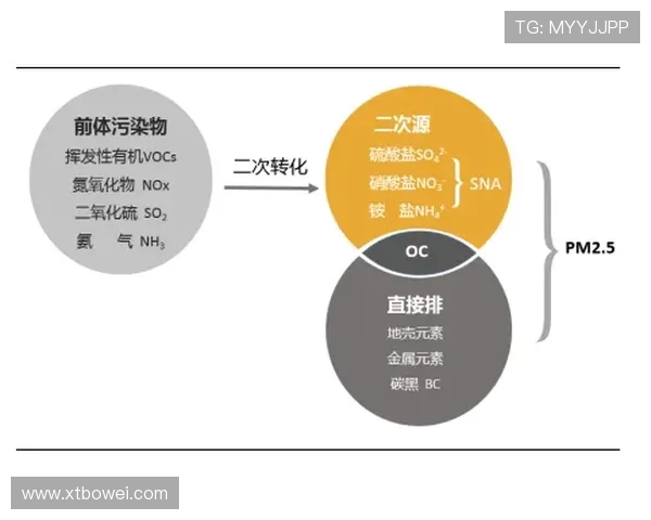 深圳羽毛球队战术解析：从技术细节到比赛策略的全面探讨