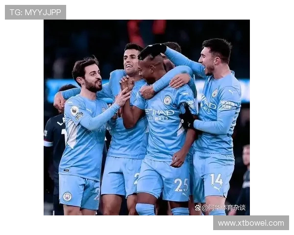 2017年曼城与埃弗顿精彩对决回放全程回顾与分析