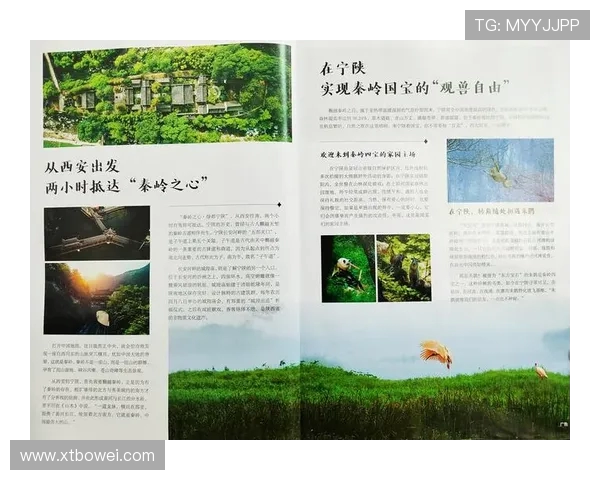 独家解析:WE意识形态的异同与影响力深度对比分析